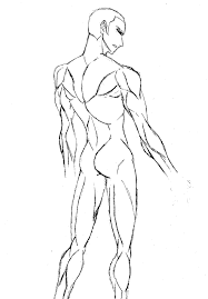 It contains many separate muscle groups, and often most have to be indicated for a drawing of a believable arm. Dani Cottrell Anime Back Muscles Reference How To Draw Manga Bl Men S Muscles Reference Book