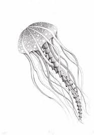 We did not find results for: Jeshooper Sea Creatures Drawing Realistic Drawings Drawing Images