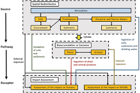 Health effects of ingested uranium are due to chemical effects and not to radiation. Assessment Modelling And The Evaluation Of Radiological And Chemical Impacts Of Uranium On Humans And The Environment Springerlink