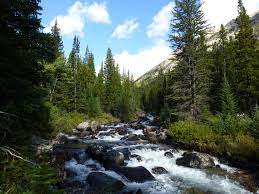 I stayed around while the clothes washed/dried even with the machines locking. Red Lodge Area Absaroka Beartooth Wilderness Foundation