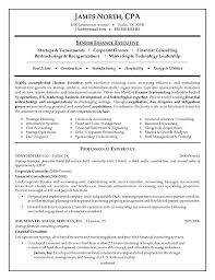 Example Of A Resume For A Job Example Resume For Job Resume Job ...