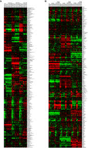 Stromal fibroblast growth factor 2 reduces the efficacy of bromodomain  inhibitors in uveal melanoma | EMBO Molecular Medicine
