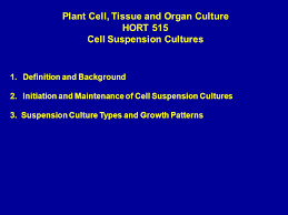 Plant Cell Tissue And Organ Culture Cell Suspension Cultures Ppt Video Online Download