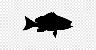 Berikut ini adalah beberapa gambar ikan vektor png. Ikon Komputer Ikan Ikan Hewan Fotografi Vektor Ikon Png Pngwing