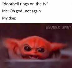 Pin By Gwyn Pearson On Funnies In 2020 Funny Dog Memes Funny Animal Memes Funny Relatable Memes