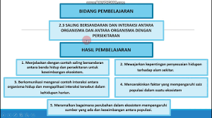 Memahami pelbagai interaksi yang berlaku di sekeliling kita. Bab 2 T2 2 3 Saling Bersandaran Antara Organisma Youtube