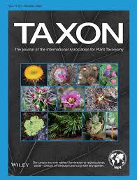 Image result for Exochaenium oliganthum