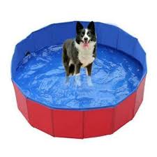 Wenn draußen ein schneesturm wütet oder du einfach mal für dich sein und entspannen. Hunde Katzen Faltbare Badewanne Wanne Waschen Neu Grun Blau Lxhxb 82x22 5x47cm Eur 24 95 Picclick Fr
