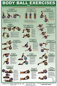 Exercise Charts For Stability Ball Balance Ball Swiss Ball