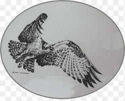 The intersection is commonly known as armley corner. Saskatchewan Roughriders Bird Of Prey Canadian Football League Bird Animals Fauna Png Pngegg