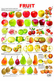 Fruits English Vocabulary English Vocabulary Fruit Learn English