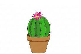 How to draw a cactus. Cactus Drawing Simple Easy Realistic And With Flower