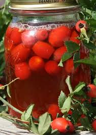 Saft Likor Und Gelee Aus Hagebutten Hagebutten Rezepte Gelee Hagebutte
