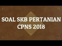 Jadi bagi anda yang membutuhkan materi contoh soal skb kementerian pertanian 2018, simak terus halaman ini sampai selesai. Contoh Soal Skb Pertanian Cpns 2018 Youtube