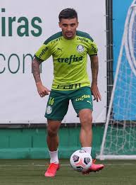 1/2 means in the end of the first half palmeiras will be leading but the match will end independiente del valle winning. Palmeiras X Independiente Del Valle Equ Numeros Estatisticas E Curiosidades Da Partida Palmeiras