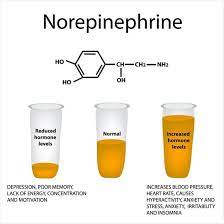 Pin On Medicine Psychology