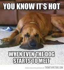 Collection of famous quotes and sayings about it's hot outside funny: Its So Hot Outside Quotes Quotesgram