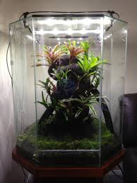 Rebuilding My Jeberos Vivarium Builds Setups