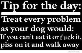 Check spelling or type a new query. Funny Quotes Saying Of The Day Sayings