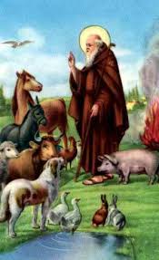 Rugăciune de recomandare către sfântul anton de padova. Novena Ro Catre Sf Anton Abate