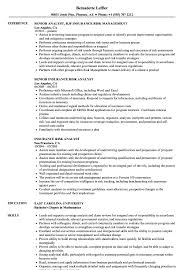 Insurance Risk Analyst Resume Samples Velvet Jobs
