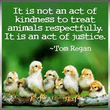 Be Vegan And Take A Moral Stand Against All Forms Of Animal Cruelty Exploitation And Commodification Start Today Vegan Animals Animal Quotes Animal Advocacy