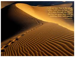 I Will Not Fear Fear Is The Mind Killer This Item Is Unavailable Printable Art Quotes Dune Fear