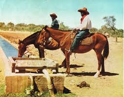 Australian Stockmen Aboriginal Art Teaching Resources Aboriginal People