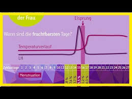 Dein zyklus umfasst 22 tage. Eisprungrechner Fruchtbare Tage Im Eisprungkalender Berechnen Youtube