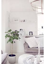 Fig Tree Via Concept By Anna Decoration Interieure Deco Interieure Inspiration Deco