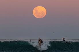The lunar eclipses 2021, like the 2021 solar eclipses, will be separated by two distinct periods: First Pictures Of Super Blood Moon Lunar Eclipse When It Ends And Where To See It Birmingham Live