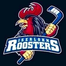 Roosters synonyms, roosters pronunciation, roosters translation, english dictionary definition of roosters. Iec Roosters Iec Roosters Twitter