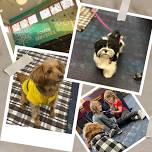 Bow Wow Books