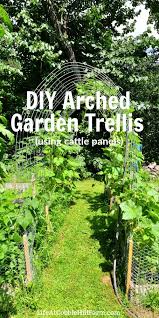 Diy Arched Cattle Panel Garden Trellis Garden Update Cattle Panels Garden Trellis Garden Arch Trellis