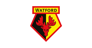 They're the underdogs against manchester city and they haven't been in a final for 35 years. Welcome To Our New Clients Watford Fc Creature