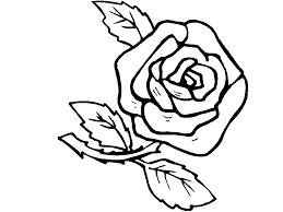 Desene de colorat cu floricele. Flori Educatie Copilul Ro