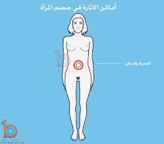 Sexual Health أماكن الاثارة عند المرأة بالصور كيفية اثارة المرأة صور أماكن اثارة وكيفية اثارة المرأة