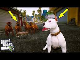 Yavru Pitbull Ilk Kez Babasiyla Karsilasiyor Kavga Ettiler Gta 5 Youtube