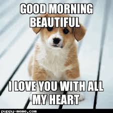 It's safe to say that memes have taken over the internet, and they continue to evolv. Good Morning I Love You Memes