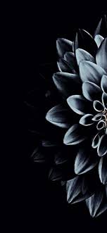 Check spelling or type a new query. Dark Phone Wallpaper 152 1080x2340