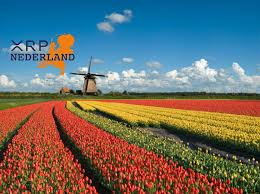 Ripple (xrp) heeft de hulp ingeschakeld van rosa gumataotao rios, niet alleen om operationeel uit te breiden, maar ook in de. Xrp Nederland Home Facebook