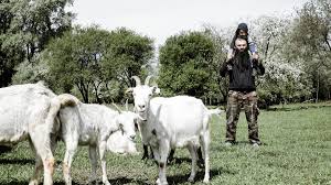 Pasterz Abdul z Dagestanu ma trzy żony i jedenaścioro dzieci. I w Polsce  czuje się świetnie