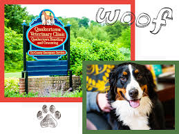 Experienced vets near you in bengaluru. Veterinarian Quakertown Quakertown Veterinary Clinic