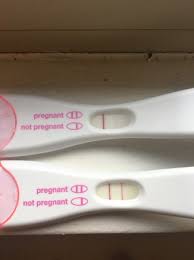 Second Line Disappearing Babycenter