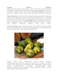 Ubat kanser daun durian belanda. Khasiat Durian Belanda