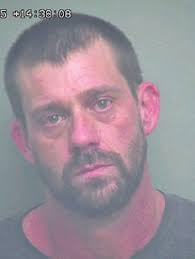 23 dogs seized in two incidents