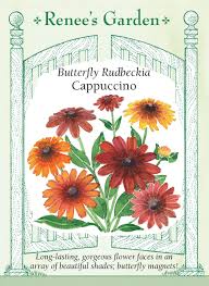 Image result for Renealmia susanneae-katziae