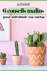 Le Cactus On Adore L Adopter Dans Notre Deco Hyper Tendance Il Apporte Une Touche Tropical Dans Notre Interie Cactus Pot De Fleurs En Bois Cactus Interieur