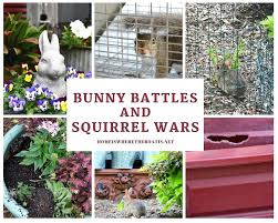 This homemade rabbit repellent uses common pantry staples like garlic, red pepper flakes, and dish in summer, color matures to rich mahogany red. Gardening Tidbits Bunny Battles And Squirrel Wars Home Is Where The Boat Is