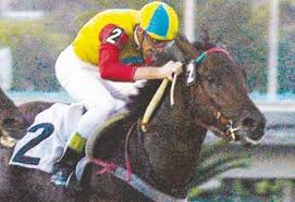 Tifón Planet ante cuatro rivales en el Competencia